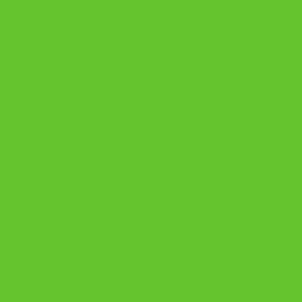 Oxford 300D Lime - Ragland Fabrics