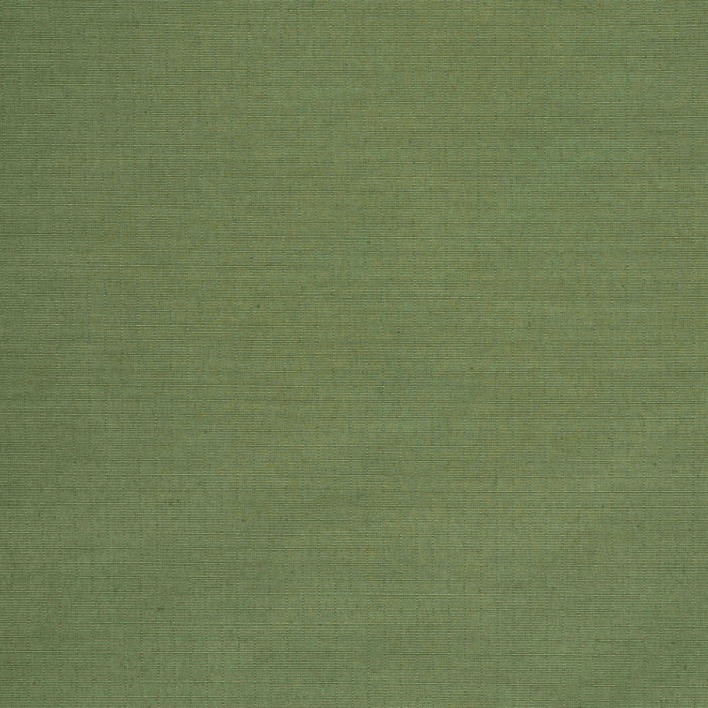 Ripstop Active Wear Green - Ragland Fabrics