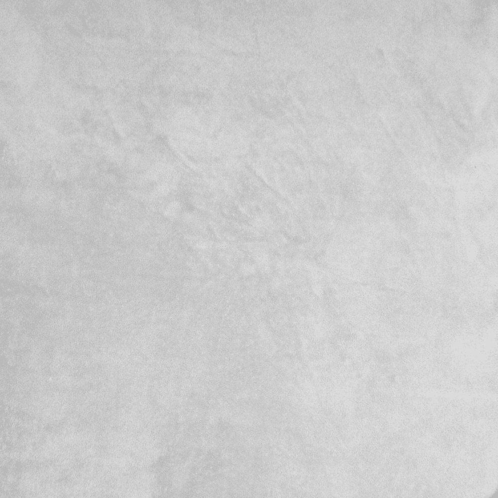 Coral Fleece Plain Light Grey - Ragland Fabrics