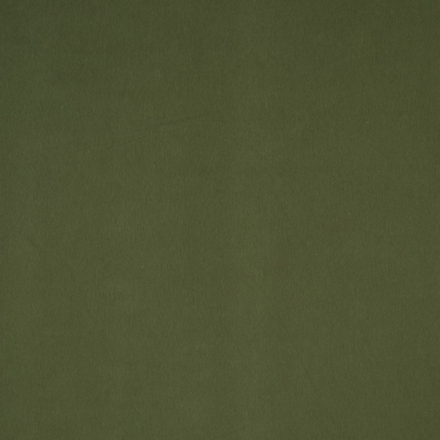 Ribbed Cotton Lycra Knit Olive Green