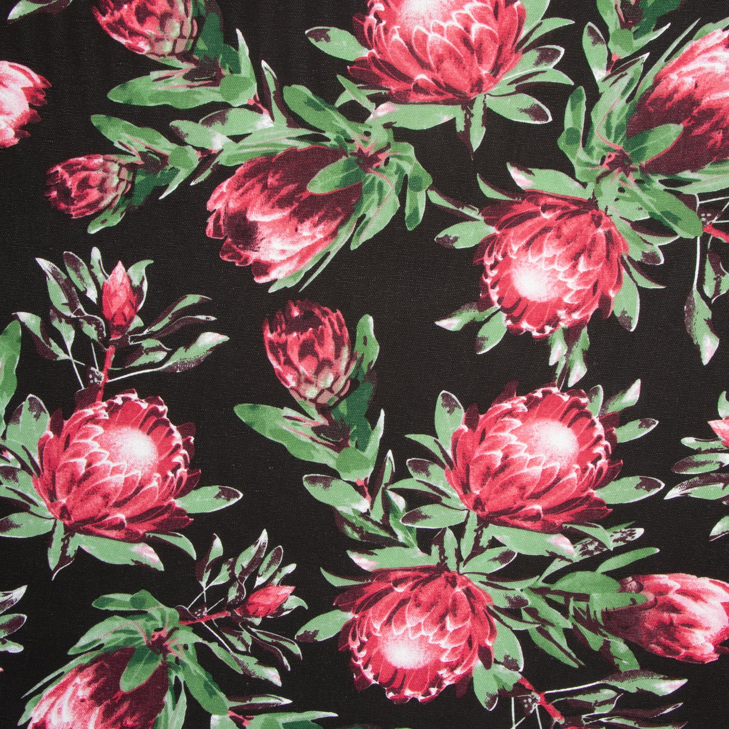 Cotton Canvas Printed Protea Black