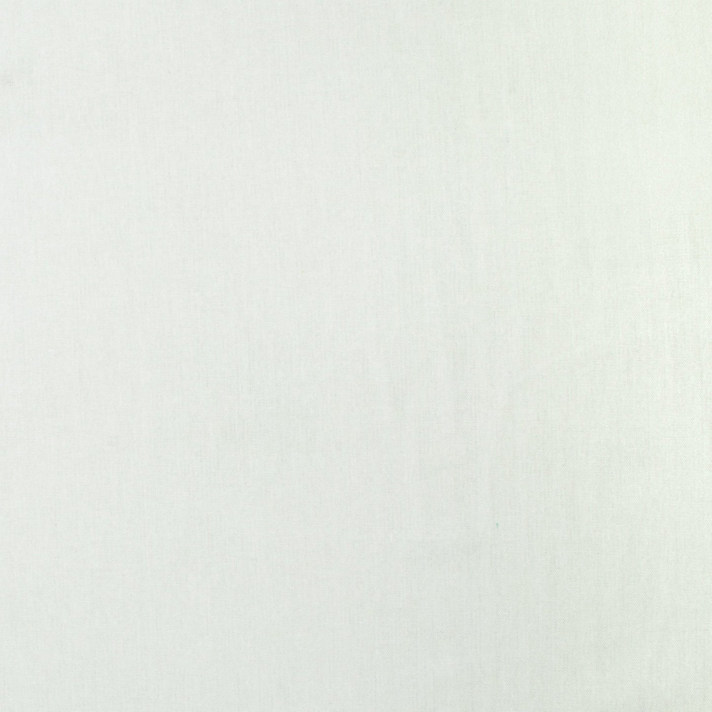 Poly Linen Ramie White - Ragland Fabrics