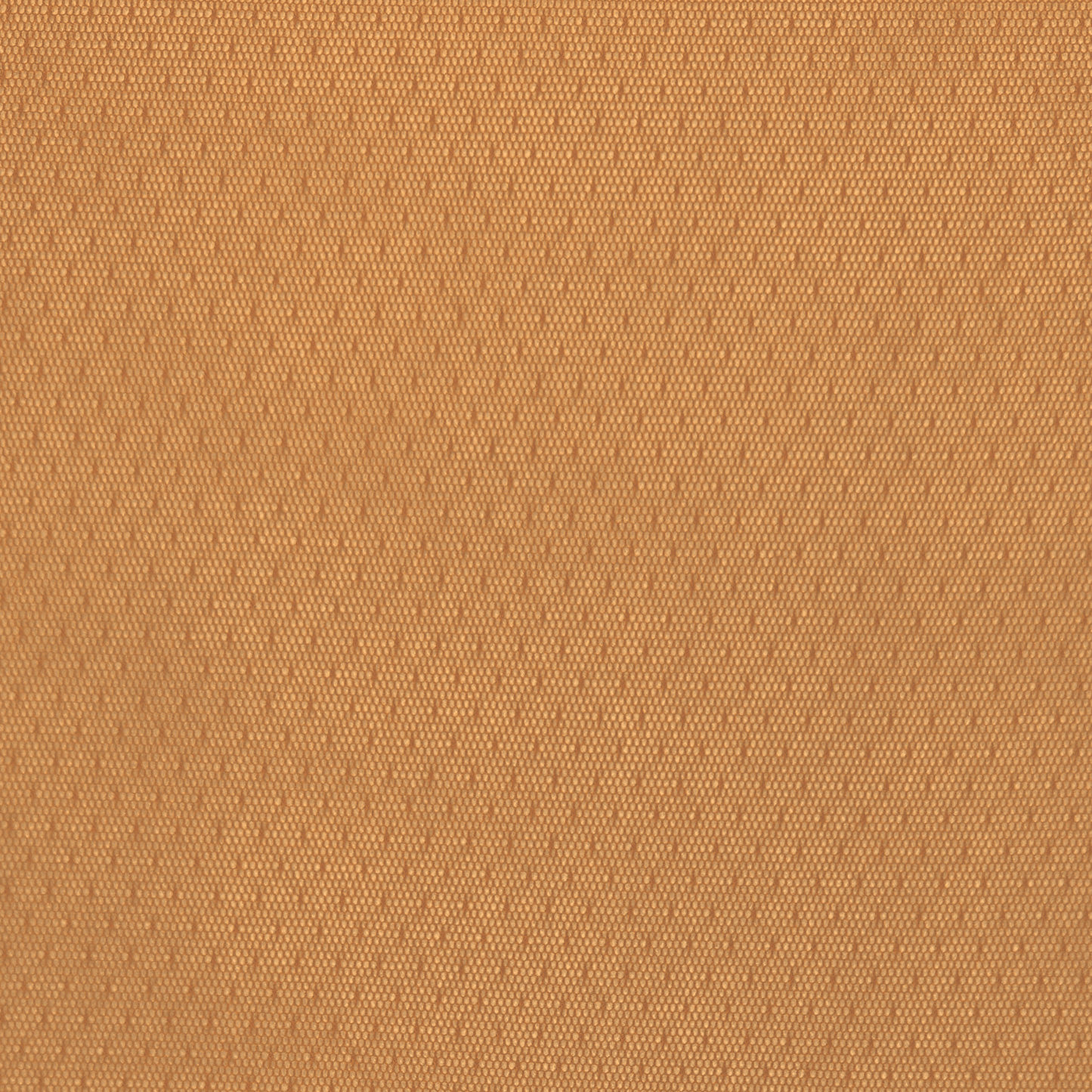 Lace Fabric Rusty - Discontinued - Ragland Fabrics