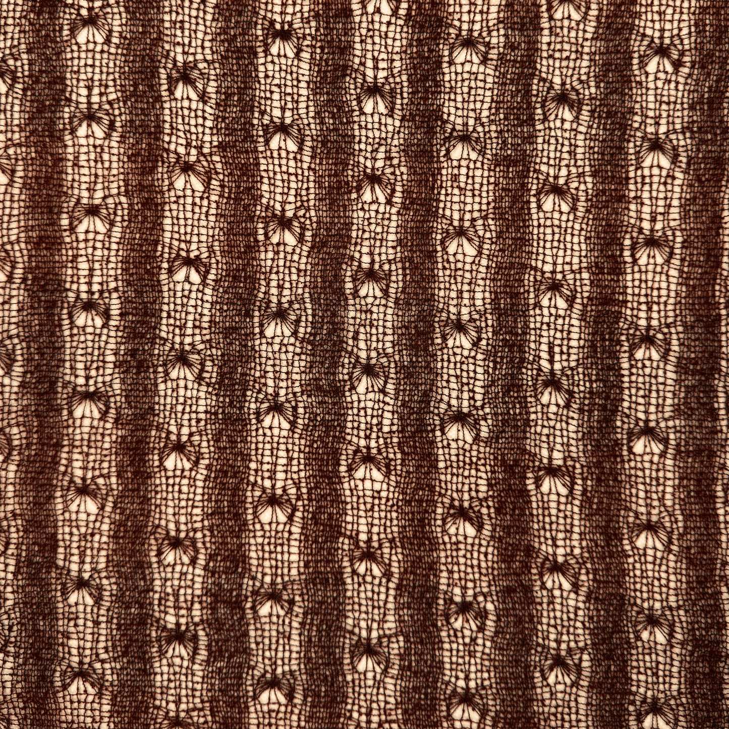 Lace Fabric Brown Striped - Discontinued - Ragland Fabrics