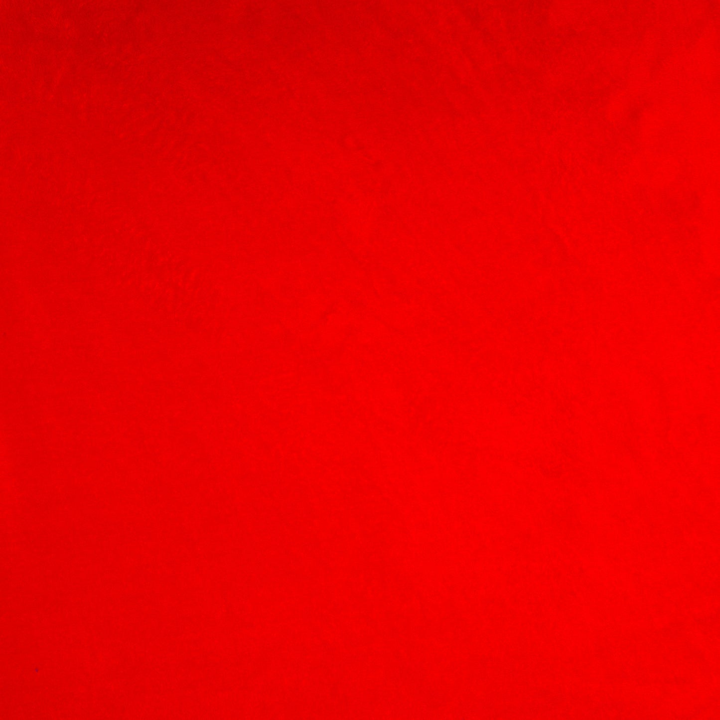 Coral Fleece Plain Red