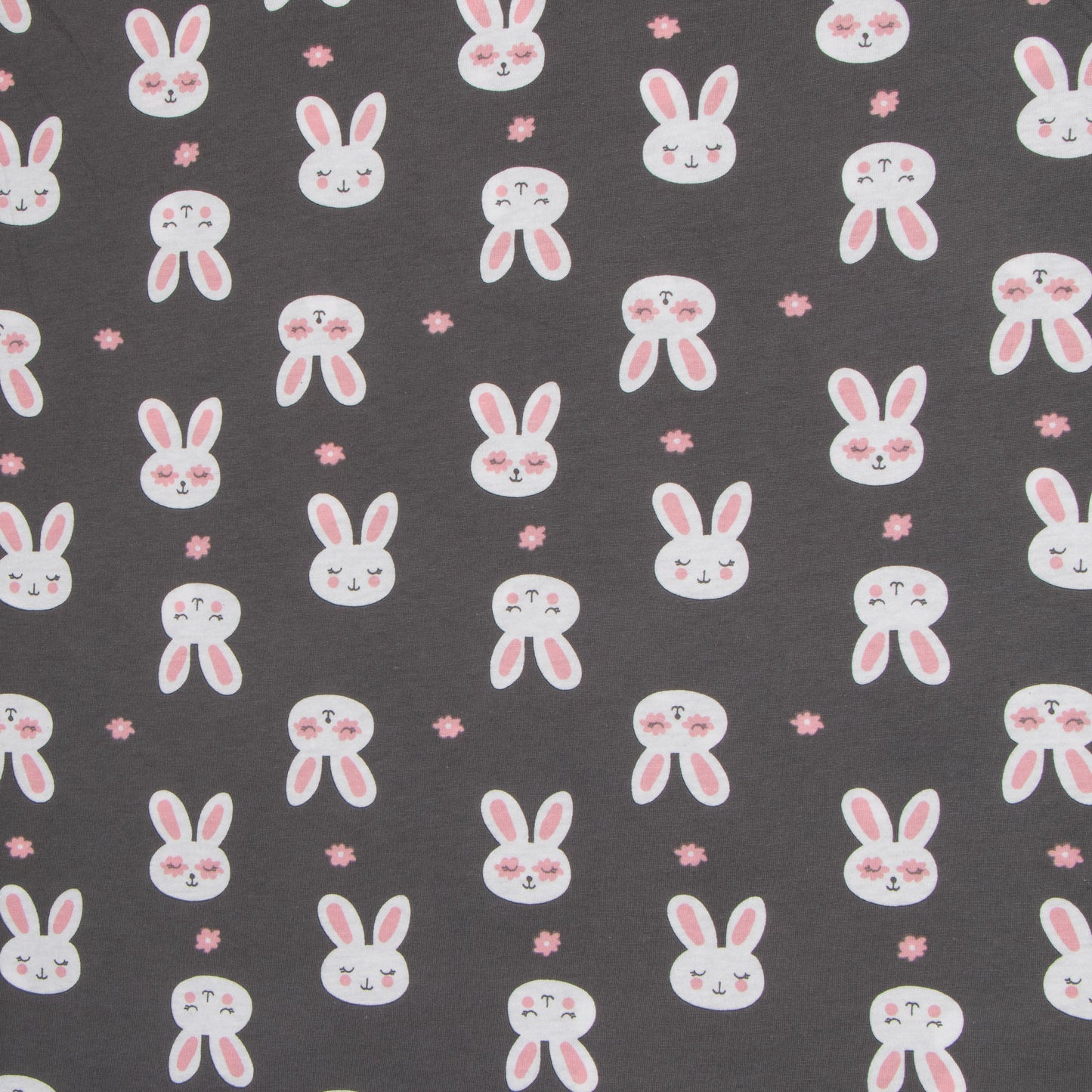 Cotton Knit Bunny Print
