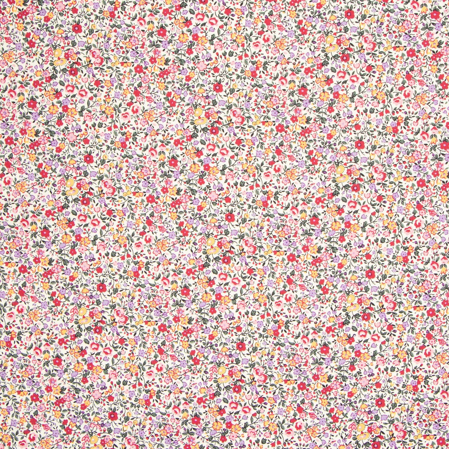 Printed Poplin Cotton 100% Des 13 - Ragland Fabrics