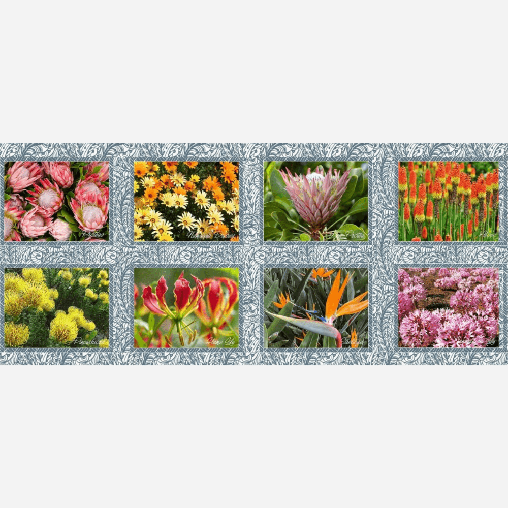 Place Mats South Africa Flora - Ragland Fabrics