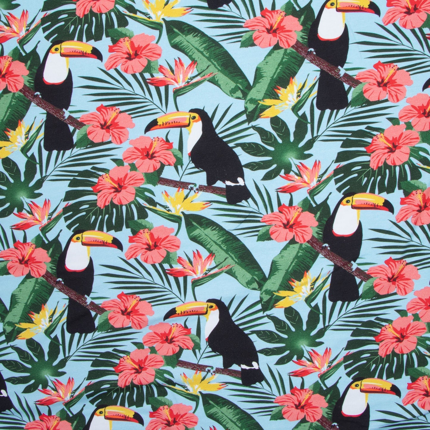Cotton Knit Tropical Island - Ragland Fabrics