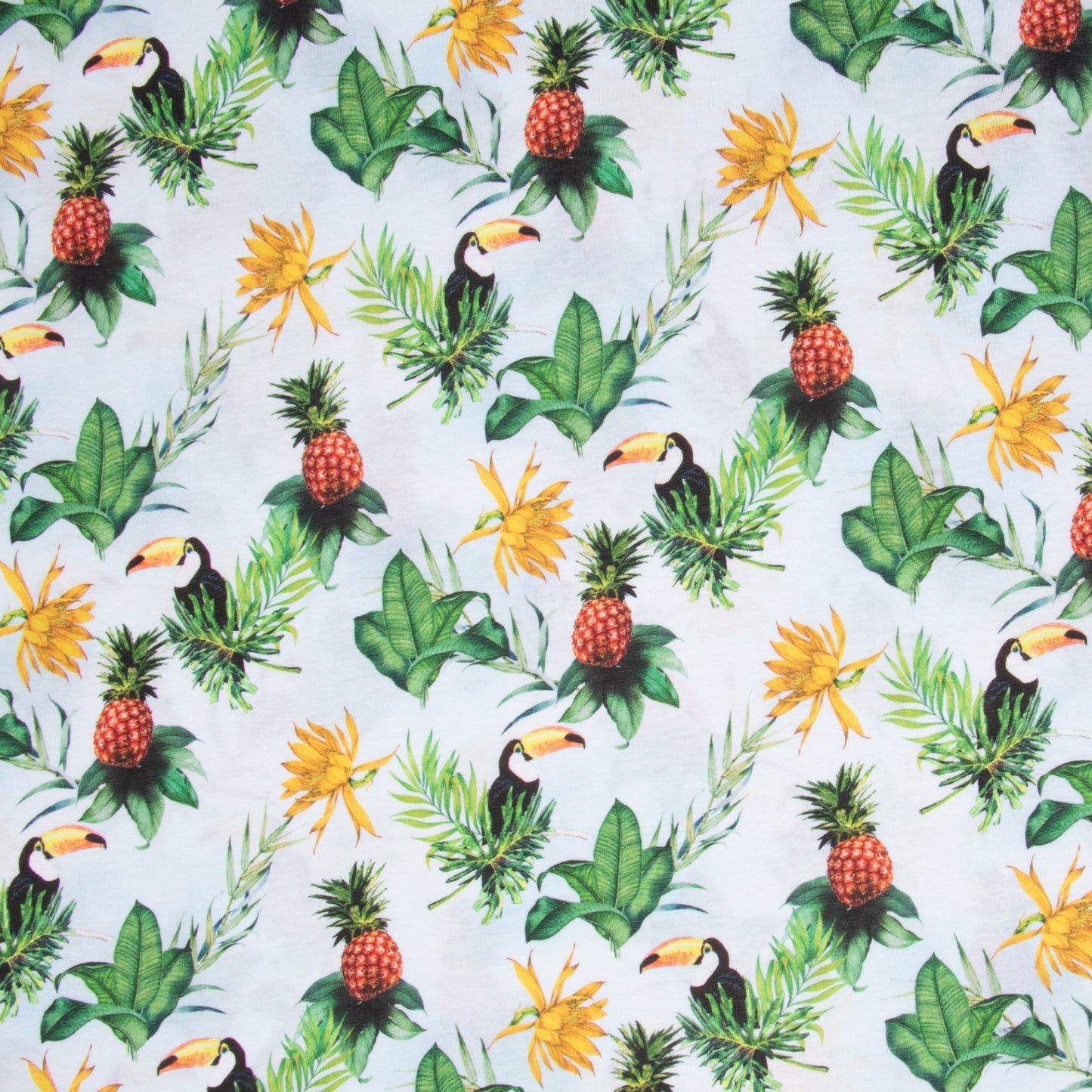 Cotton Knit Macaw Tropical