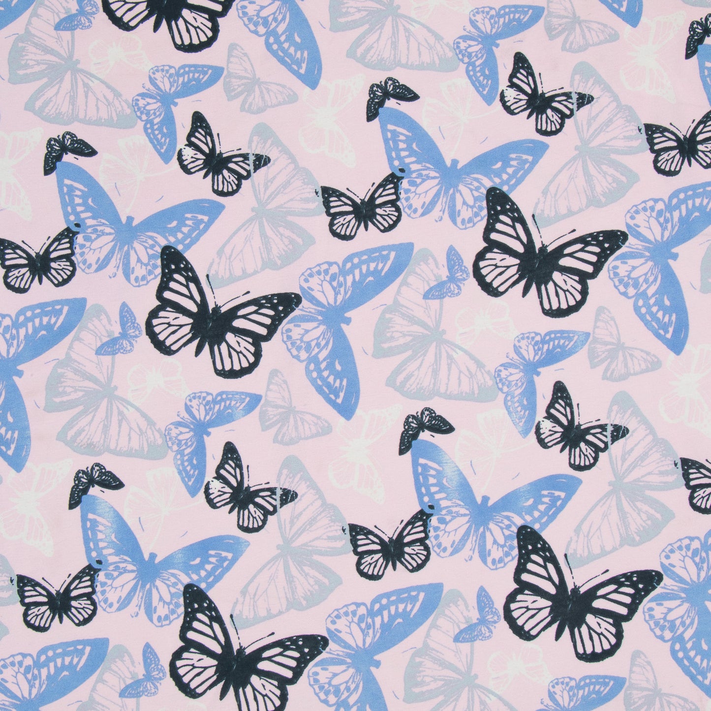 Printed Chiffon Blue Butterfly