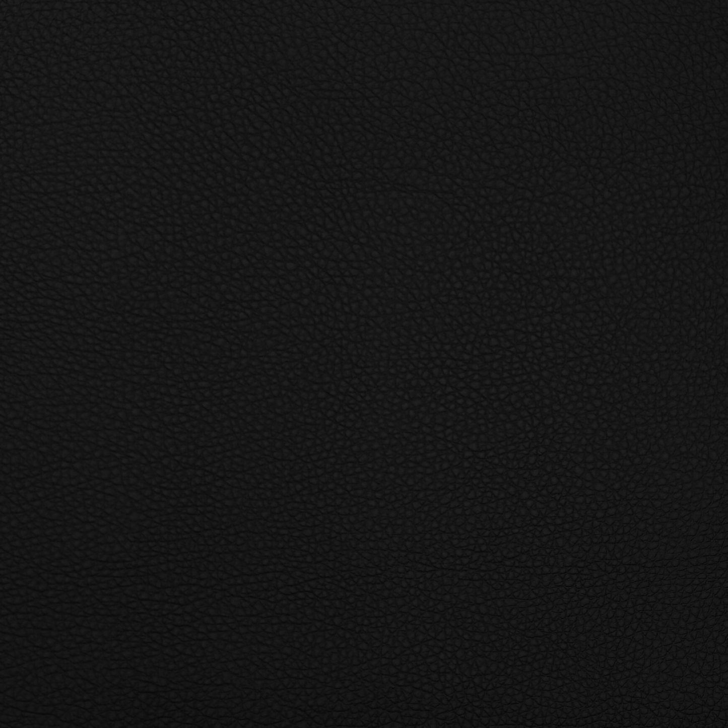 Anti Tear Vinyl Black - Ragland Fabrics