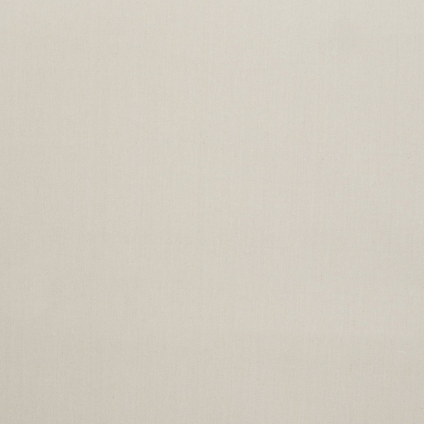 Cotton Canvas / Bull Denim Stone 9 - Ragland Fabrics