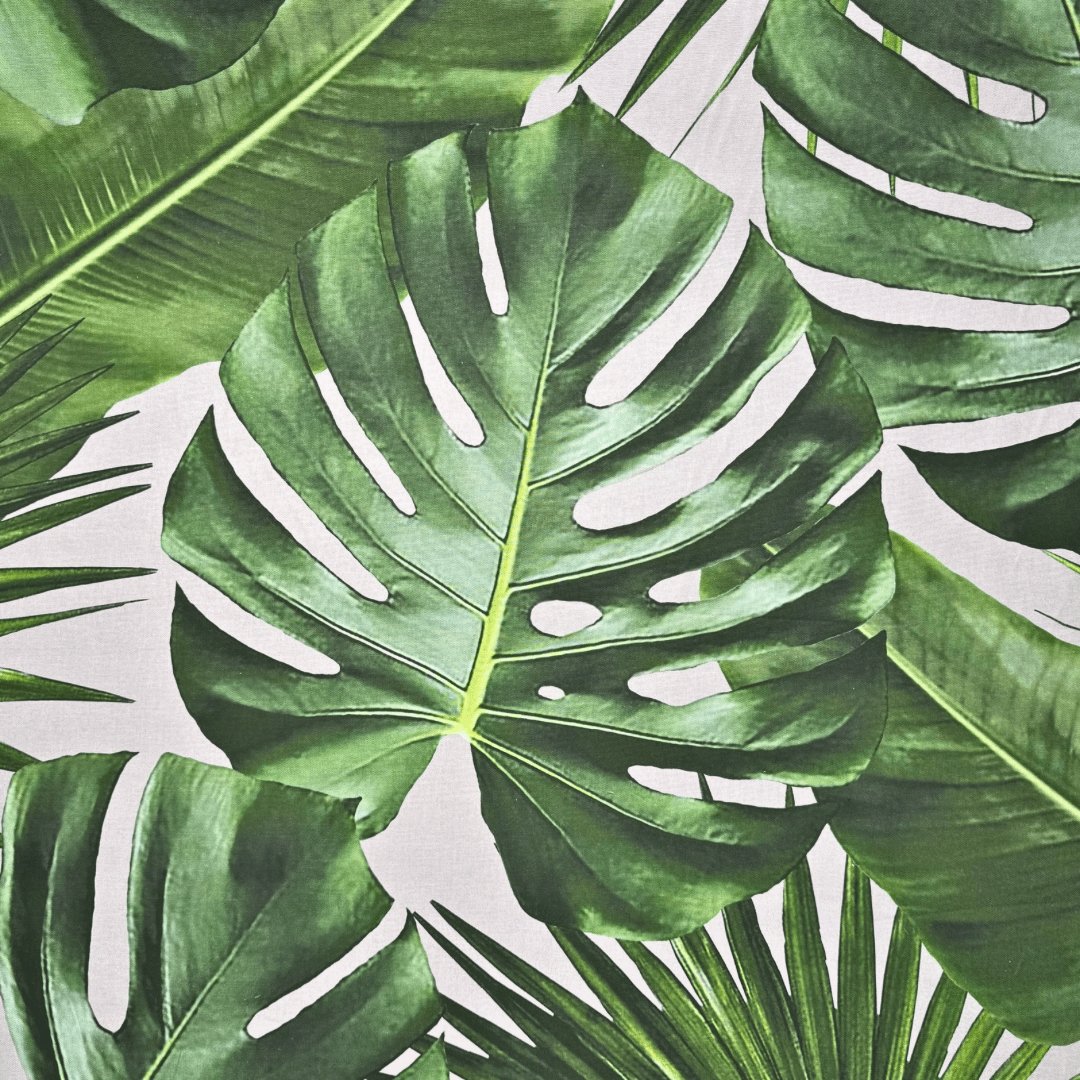 Delicious Monster | TBD - Ragland Fabrics