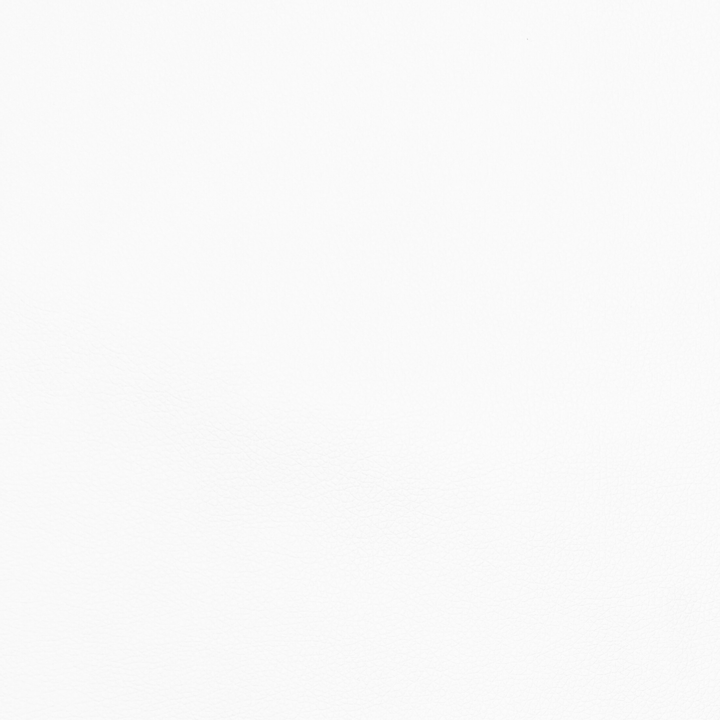 Anti Tear Vinyl White - Ragland Fabrics