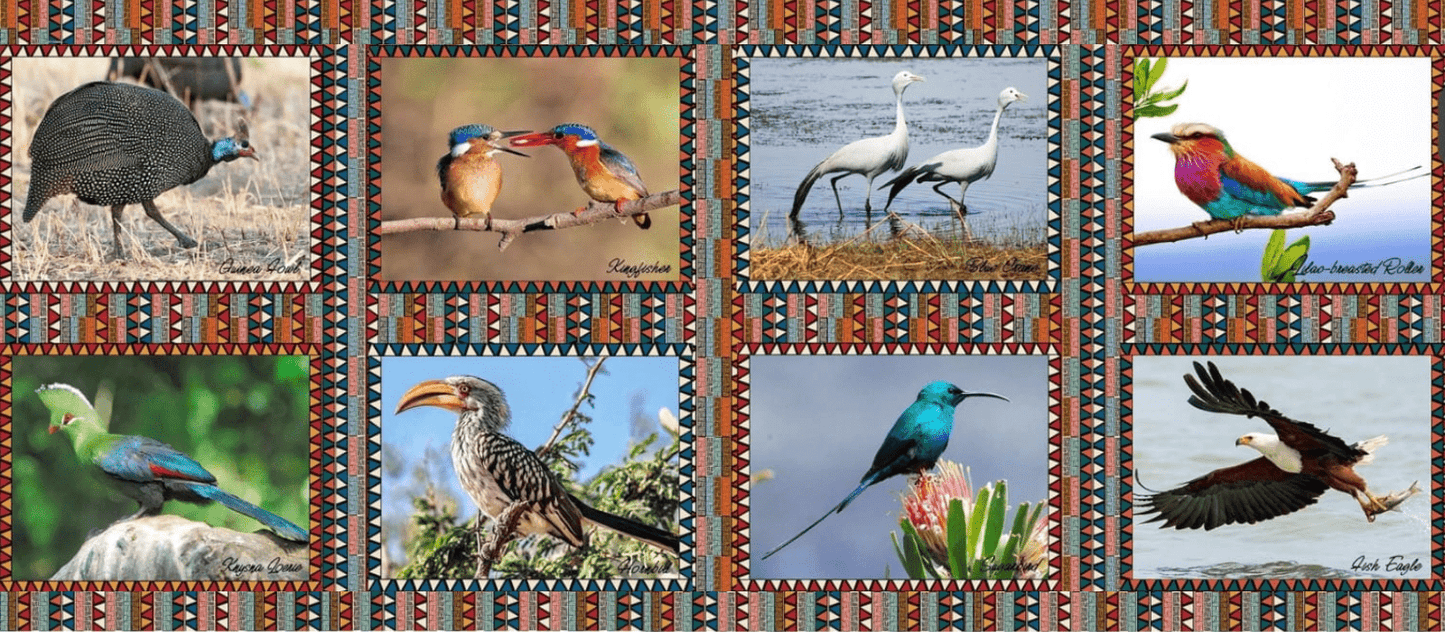 Place Mats South Africa Birds - Ragland Fabrics
