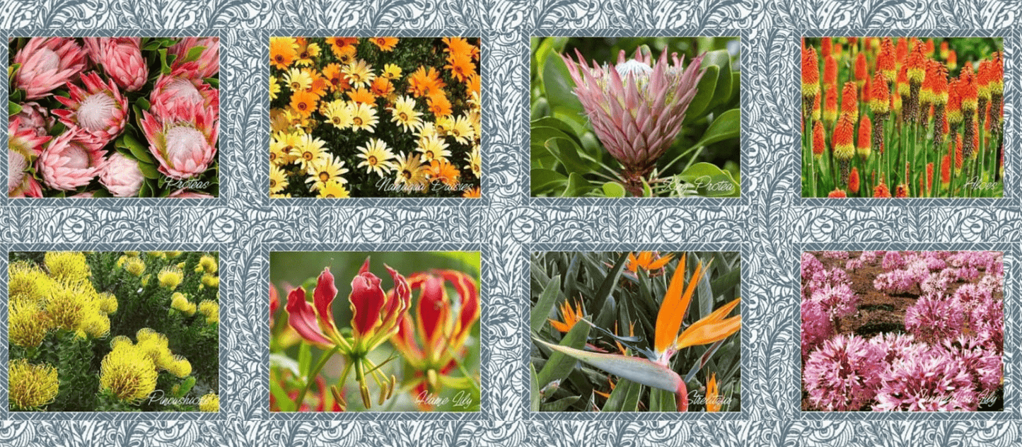 Place Mats South Africa Flora - Ragland Fabrics