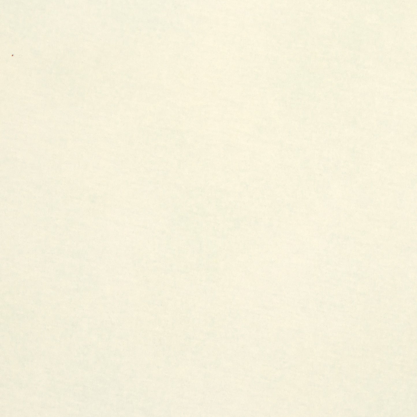 Poly Spandex Knit Cream - Ragland Fabrics