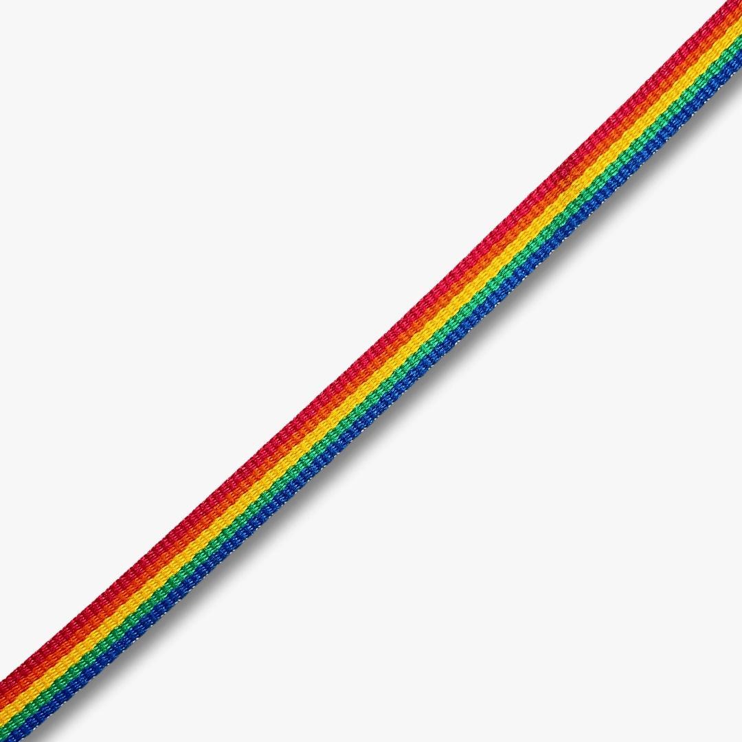 Rainbow Webbing 15mm - Ragland Fabrics