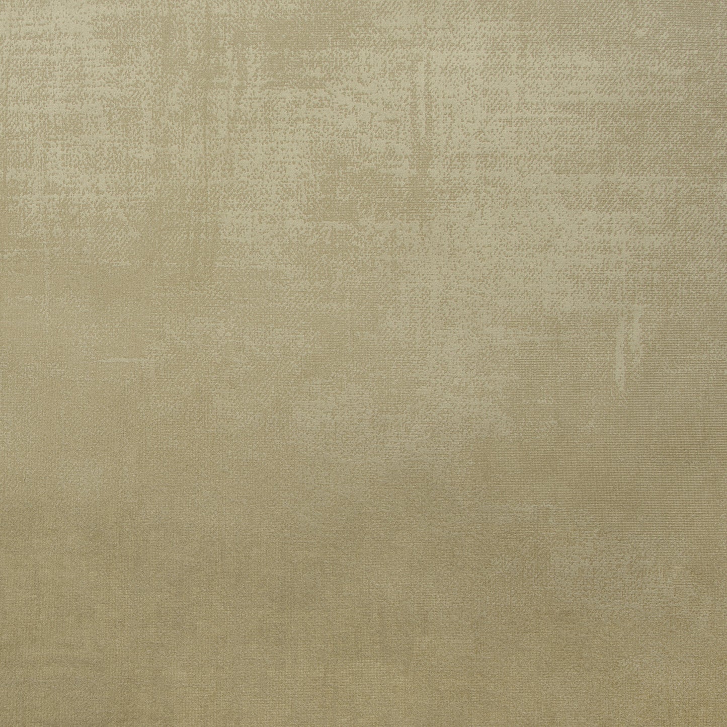 Molina Velvet Manuscript #26