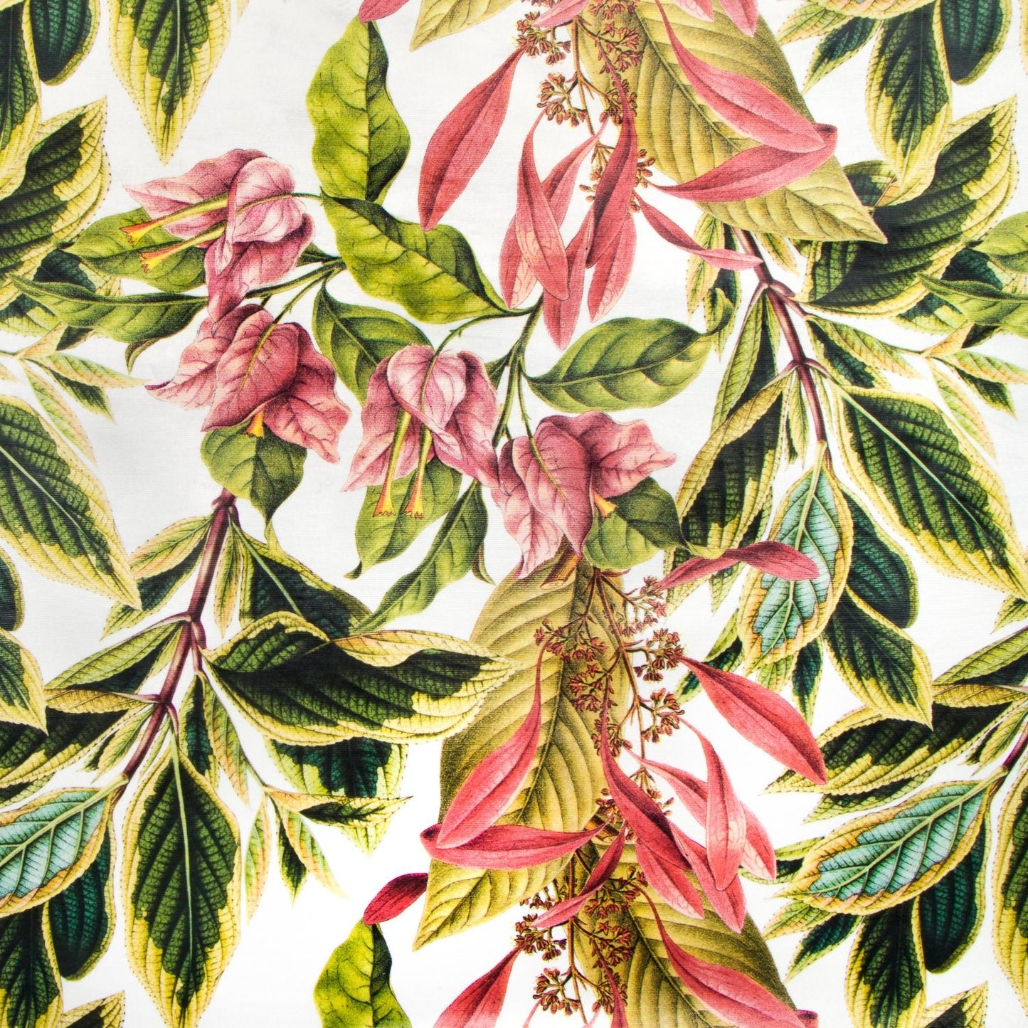 Printed Velvet Bougainvillea White 140cm - CLOSEOUT - Ragland Fabrics