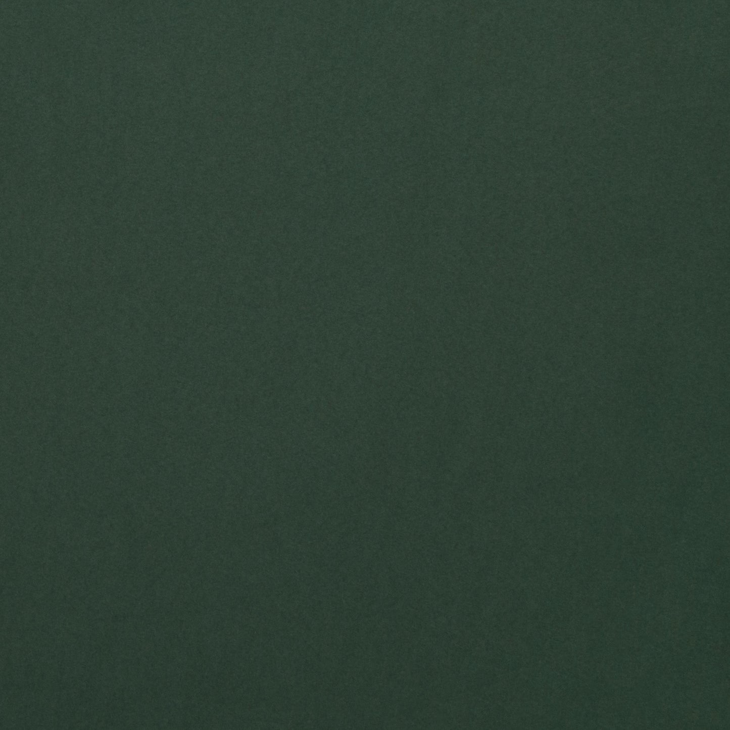 Pongee Lining Bottle Green #27 150cm