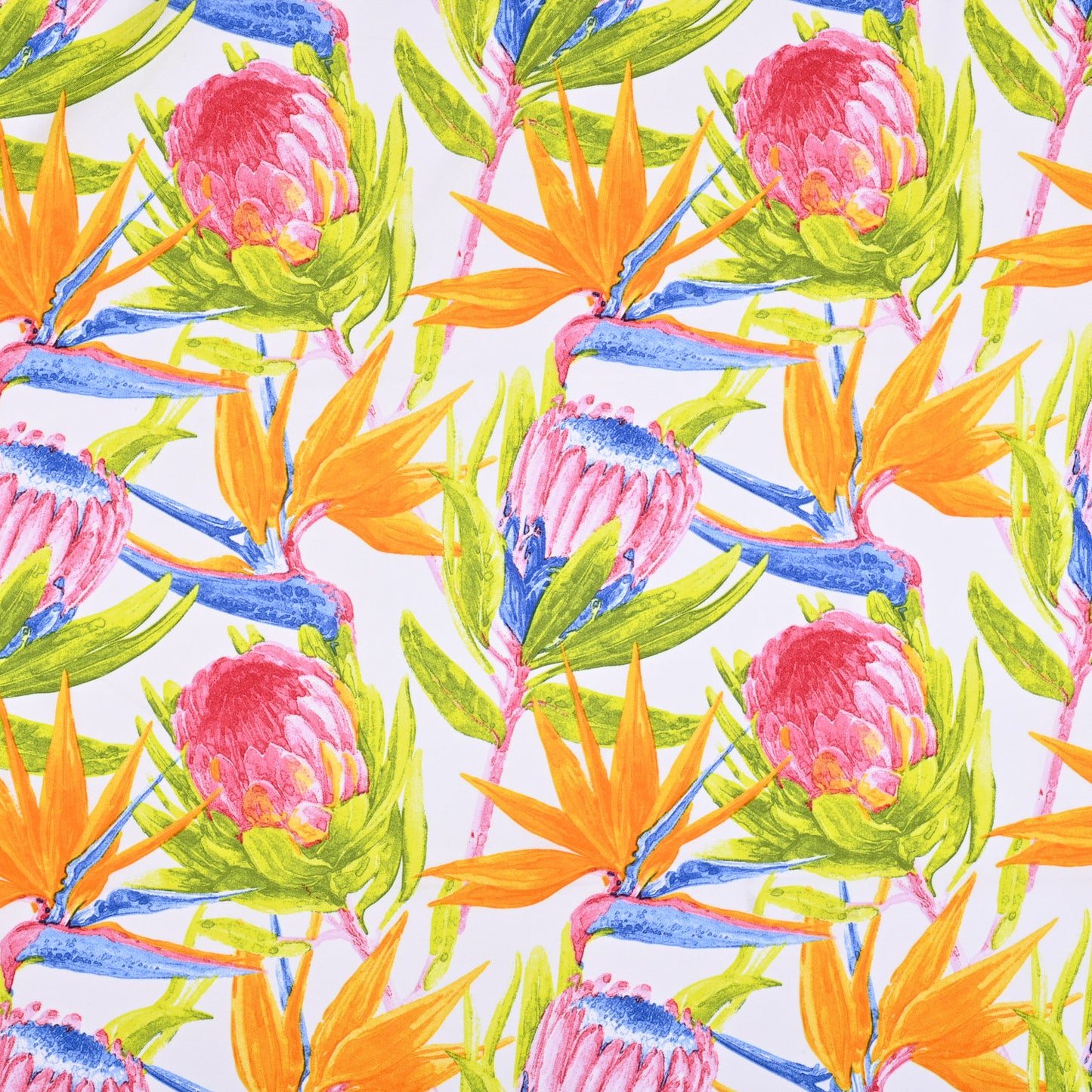 Printed Mini Matt Protea & Strelitzia White