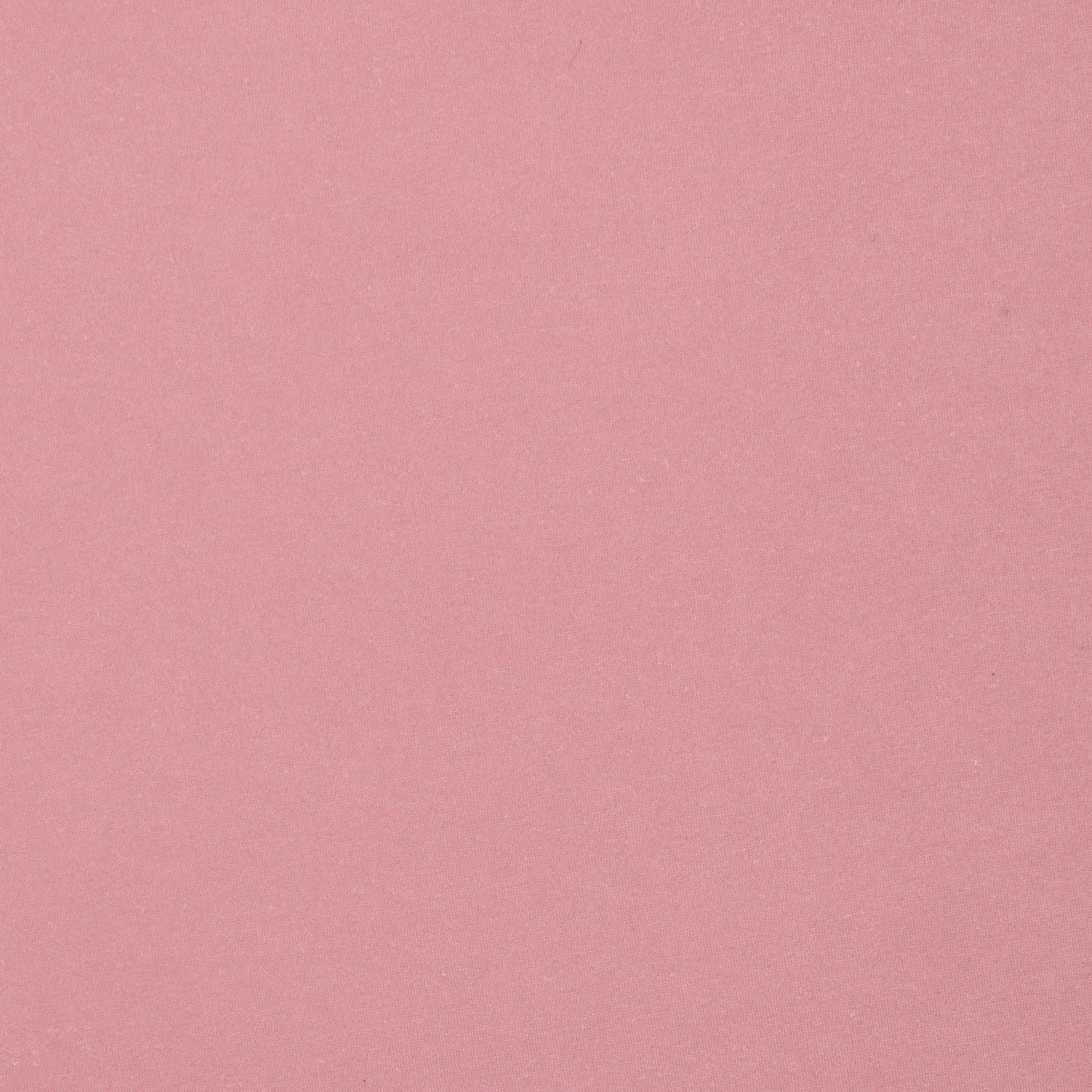 Track Suiting Brushed Cotton Dusty Pink - Ragland Fabrics