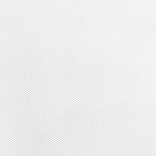 Eyelet Mesh White - Ragland Fabrics