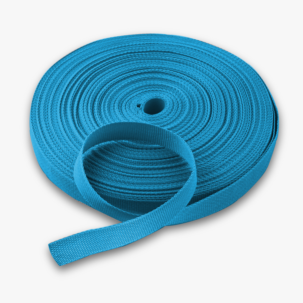 Webbing / Strapping 25mm Turquoise #2