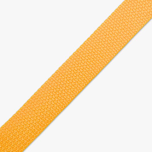 Webbing 25mm MTN Yellow TBD - Ragland Fabrics