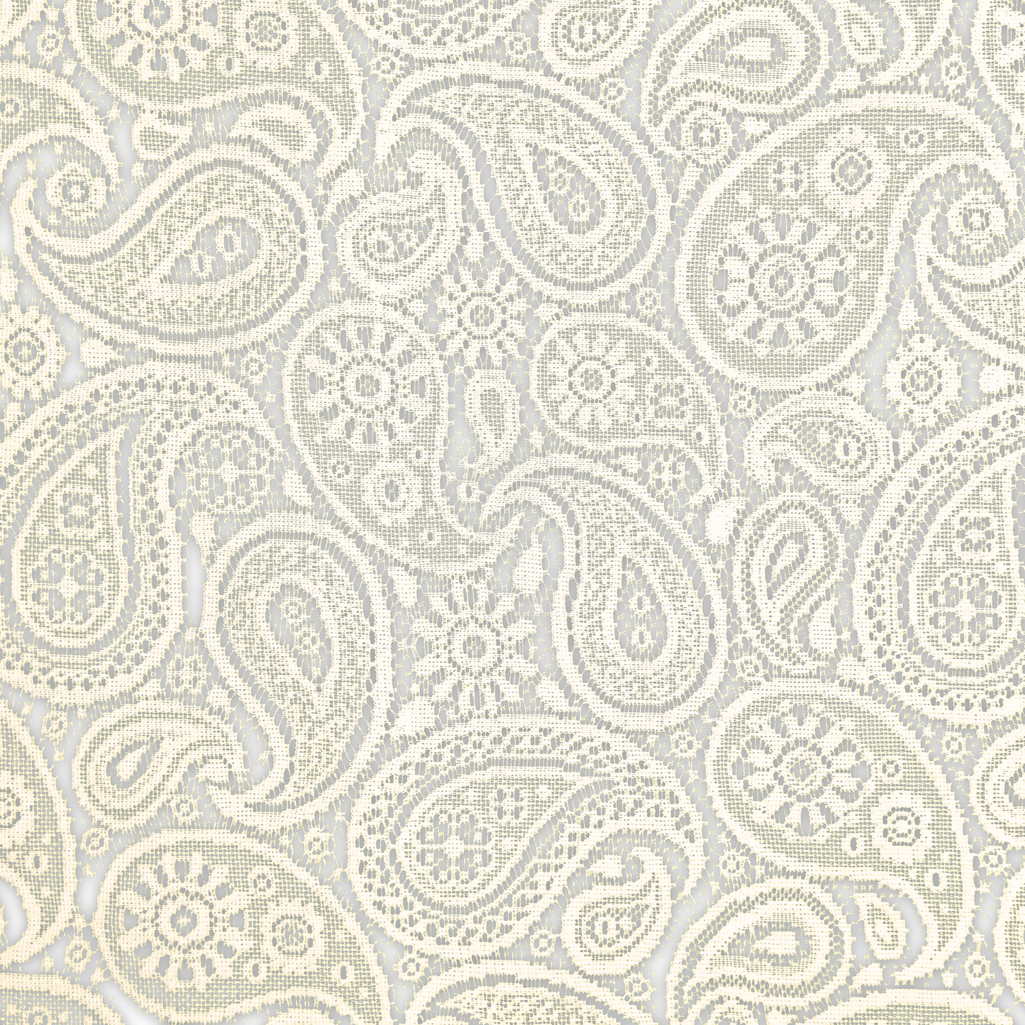 Lace Curtaining Hope Champagne #000902
