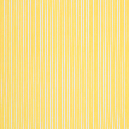 Cotton Knit Yellow / White Stripe