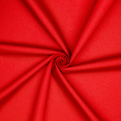 Nylon Canvas 600D Red #4