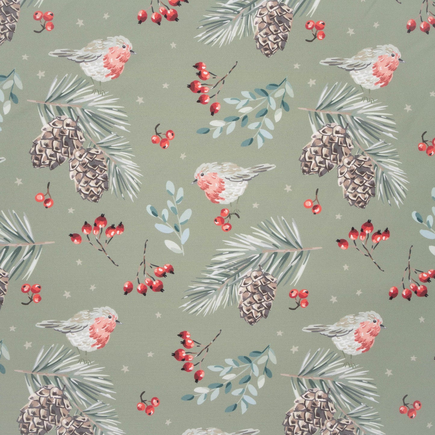 Eco Fabric Pine Cones Olive #2098