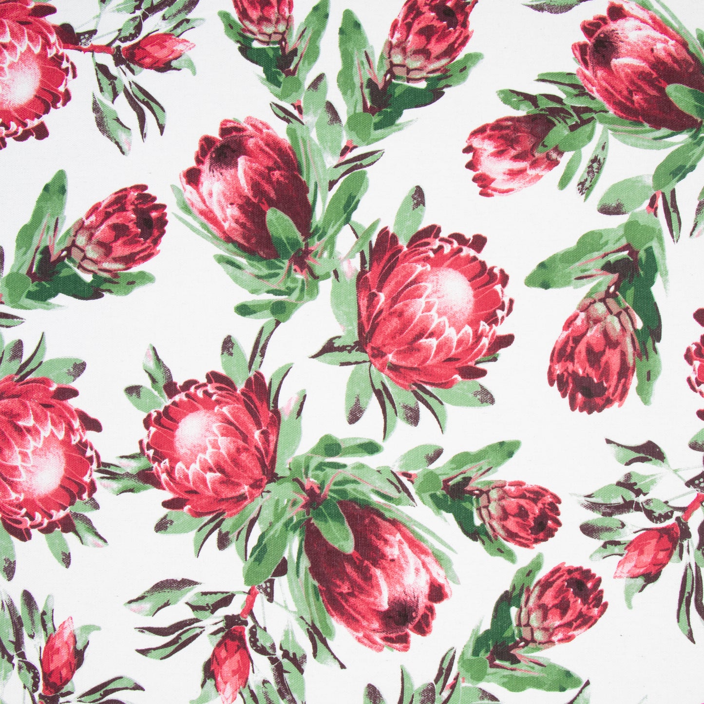 Cotton Canvas Printed Protea White