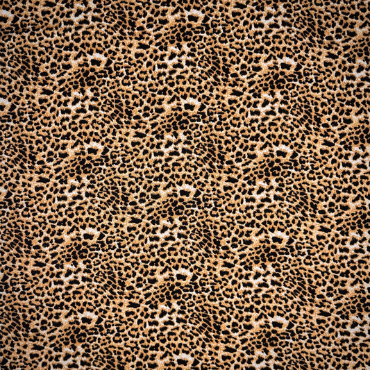 Dty Printed Stretch Animal Kingdom D2C1 - Ragland Fabrics