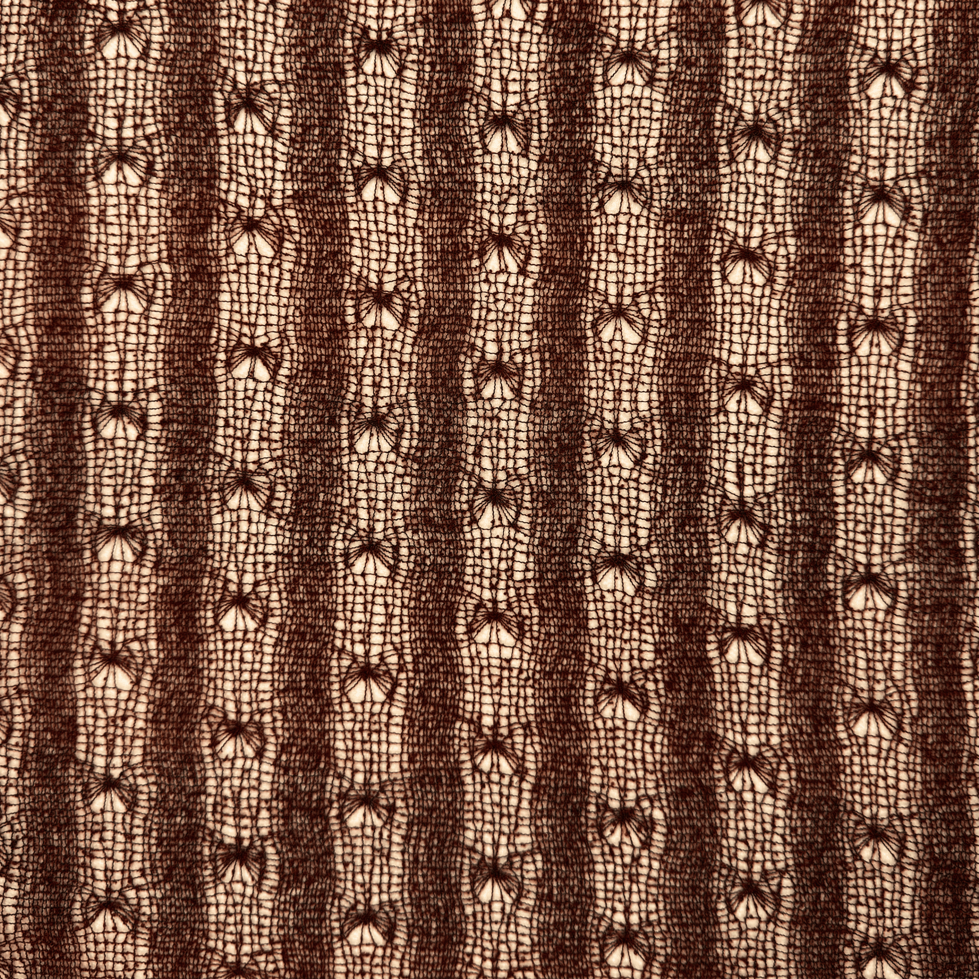 Lace Fabric Brown Striped - Discontinued - Ragland Fabrics