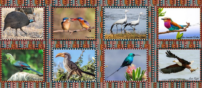 Place Mats South Africa Birds