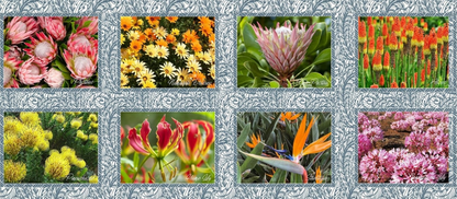 Place Mats South Africa Flora