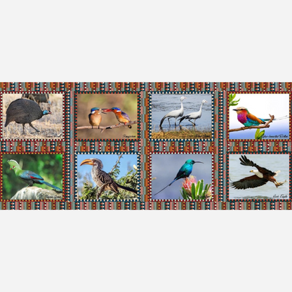 Place Mats South Africa Birds