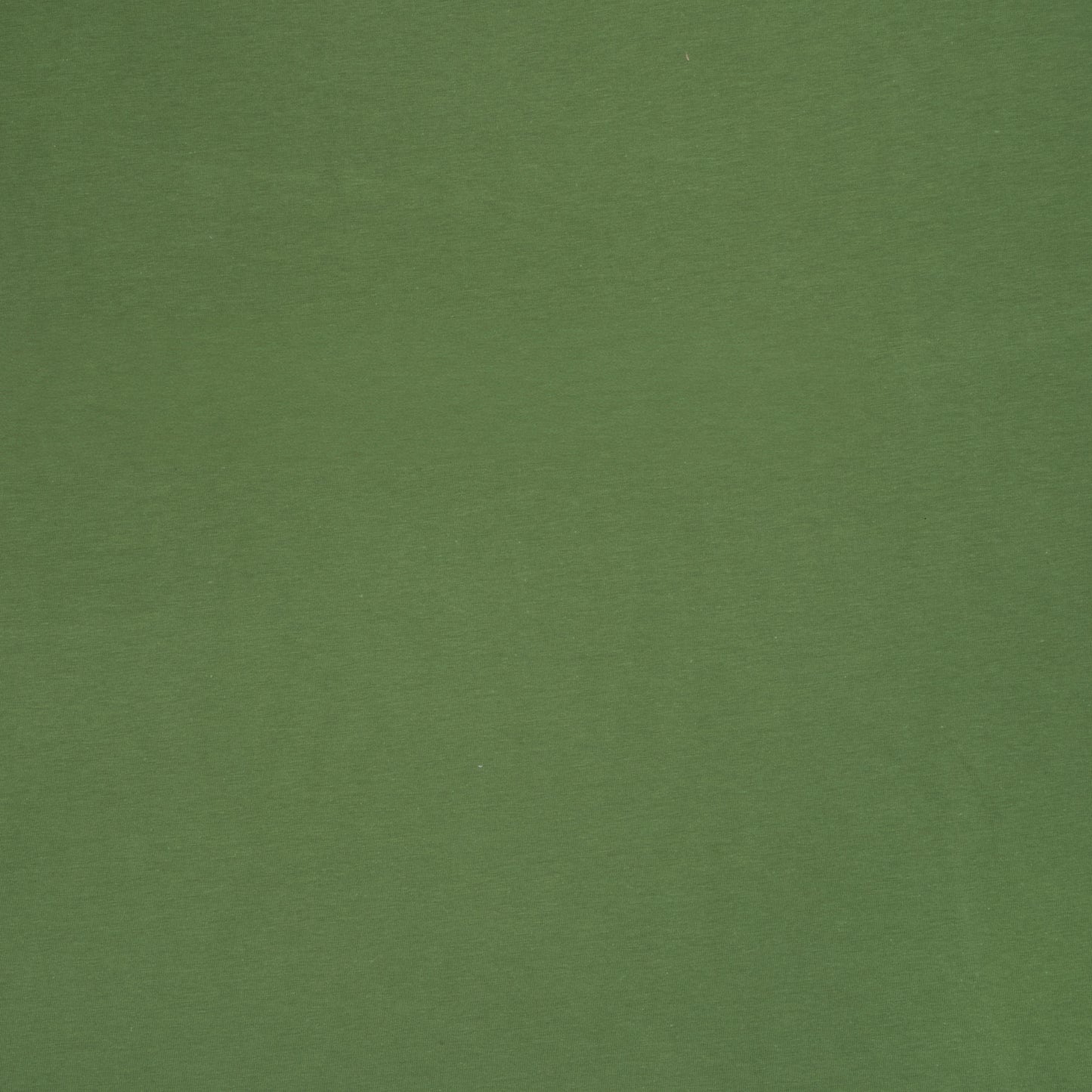 Cotton Knit Plain Fern Green