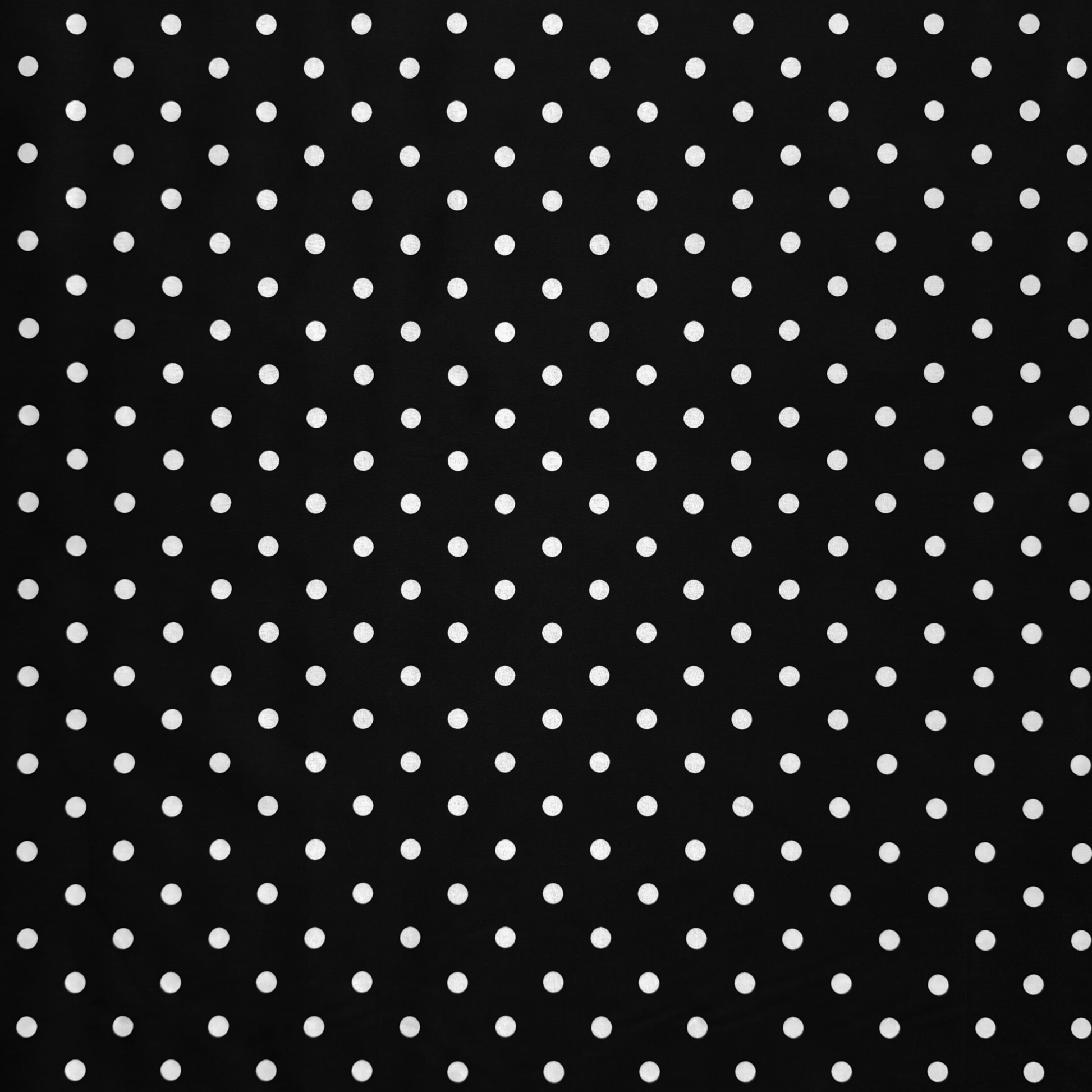 Printed Poly Cotton Spotty Black - Ragland Fabrics