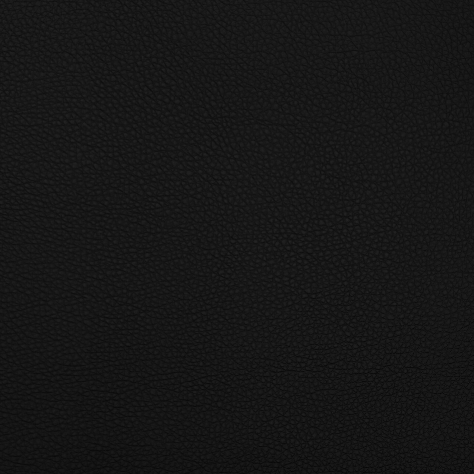 Anti Tear Vinyl Black - Ragland Fabrics