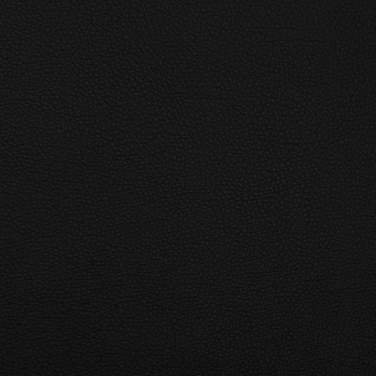 Anti Tear Vinyl Black - Ragland Fabrics