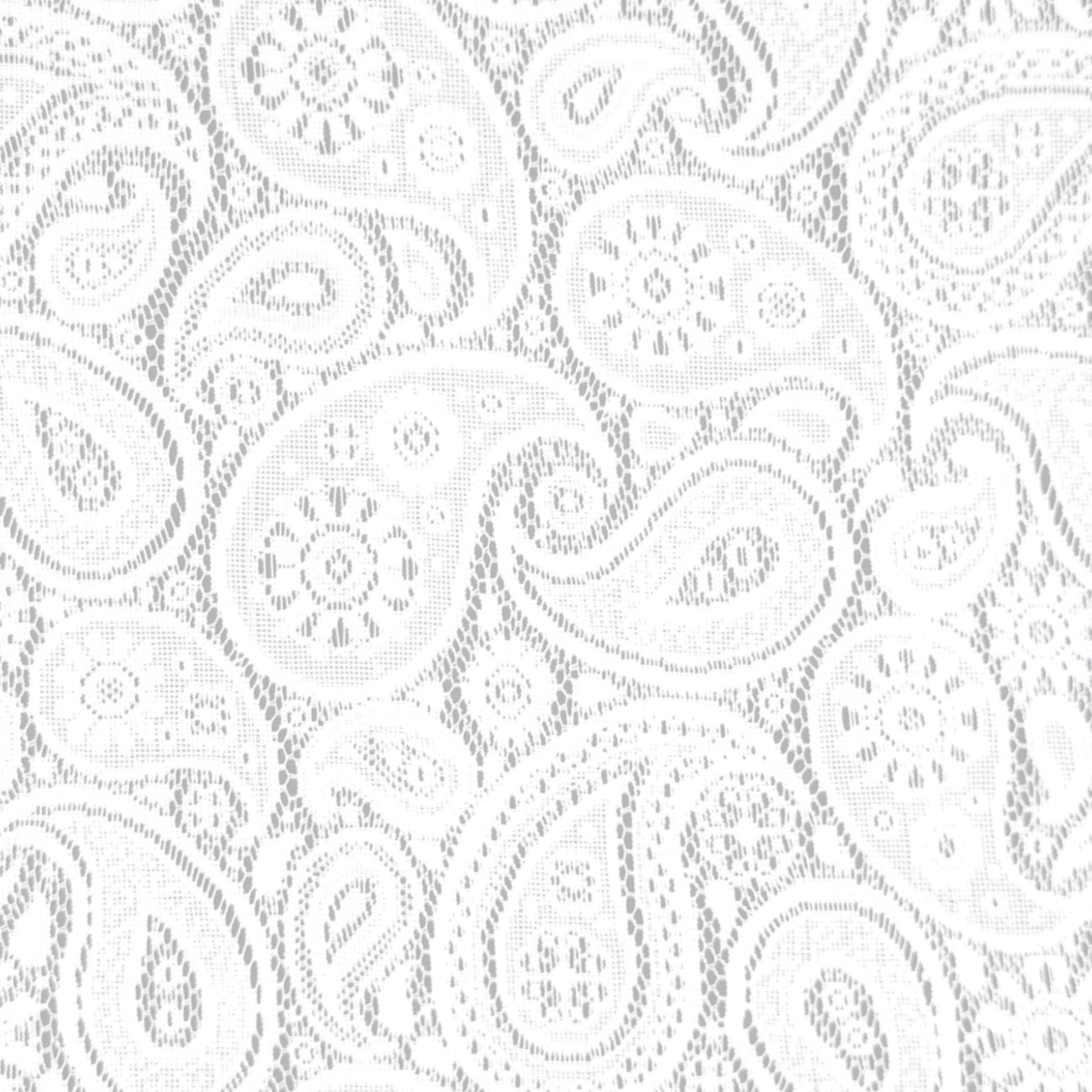 Lace Curtaining Hope White #00902