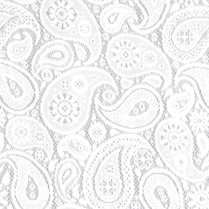 Lace Curtaining Hope White #00902