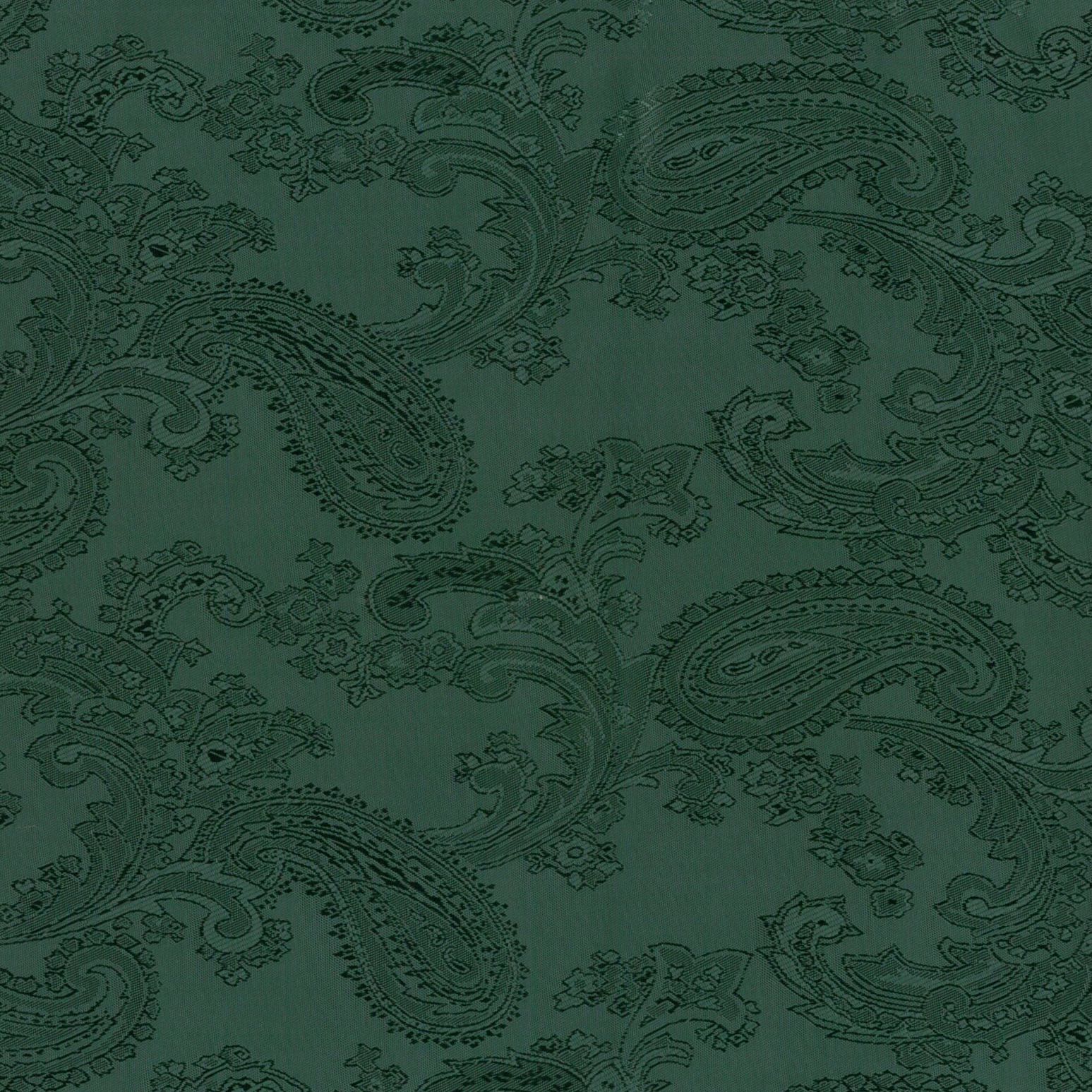 Acetate Paisley Lining | Forest - Ragland Fabrics