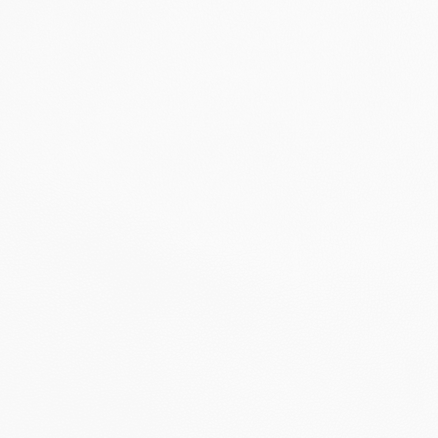 Anti Tear Vinyl White - Ragland Fabrics