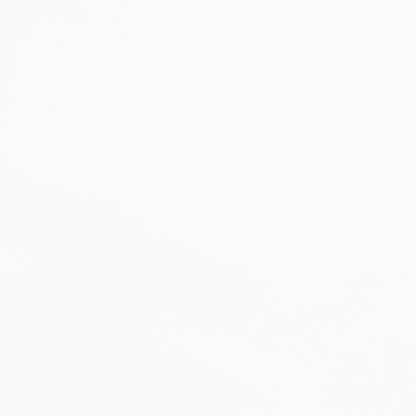 Anti Tear Vinyl White - Ragland Fabrics